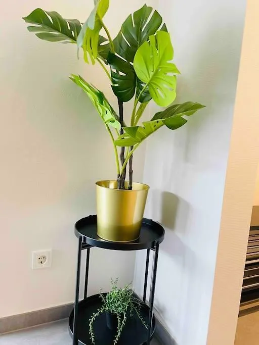 Luxury New Flat W Terrace & Parking Apartment Luxembourg
